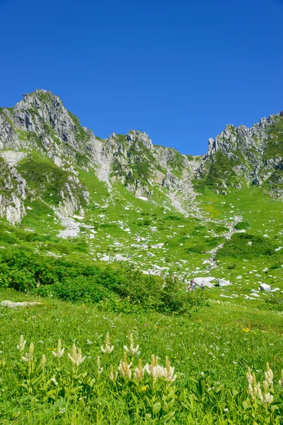 Patrzę na górze kisokoma w nagano, Japonia — Zdjęcie stockowe