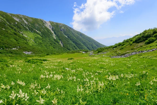 Senjojiki cirque op de berg kisokoma in nagano, japan — Stockfoto