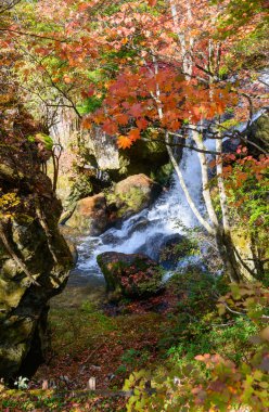 Ryuzu şelale Güz, Nikko, Japonya