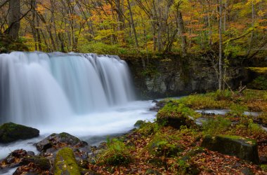 Güz, Oirase gorge: Aomori, Japan
