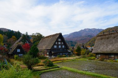 Tarihi köy, Shirakawa-go Güz