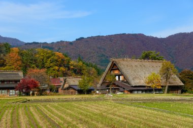 Tarihi köy, Shirakawa-go Güz
