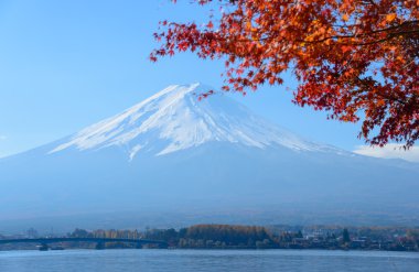 Mt.Fuji ve göl Kawaguchi Güz