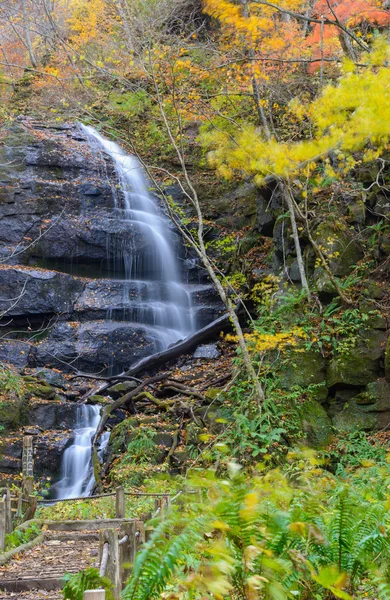 Oirase gorge in Autumn, in Aomori, Japan — Stock Photo, Image