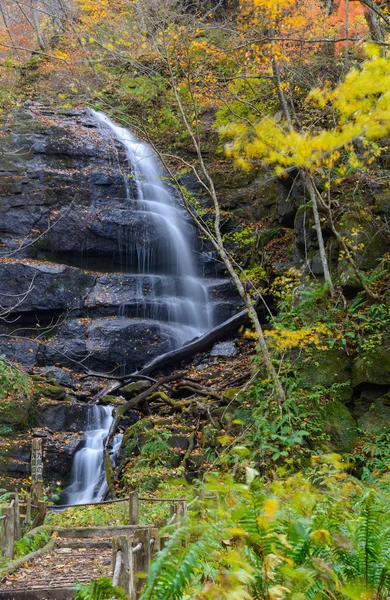 Oirase gorge in Autumn, in Aomori, Japan — Stock Photo, Image