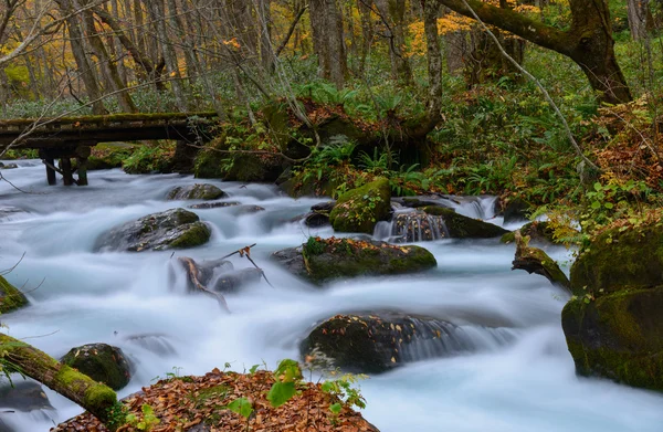 Oirase kloof in het najaar, in Aomori, Japan — Stockfoto