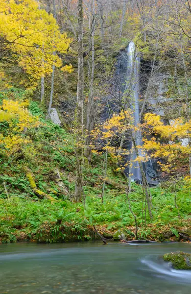 Oirase gorge in Autumn, in Aomori, Japan — Stock Photo, Image