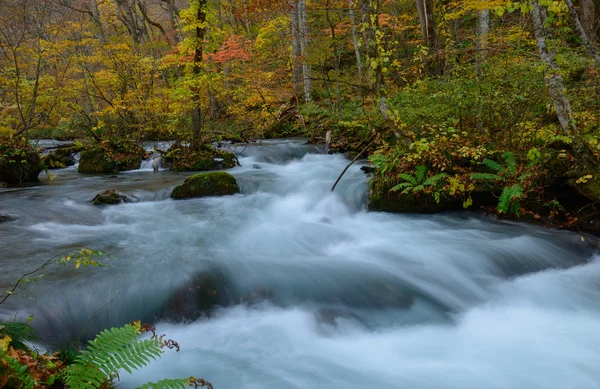 Oirase kloof in het najaar, in Aomori, Japan — Stockfoto