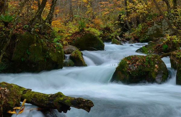 Desfiladeiro de Oirase no Outono, em Aomori, Japão — Fotografia de Stock