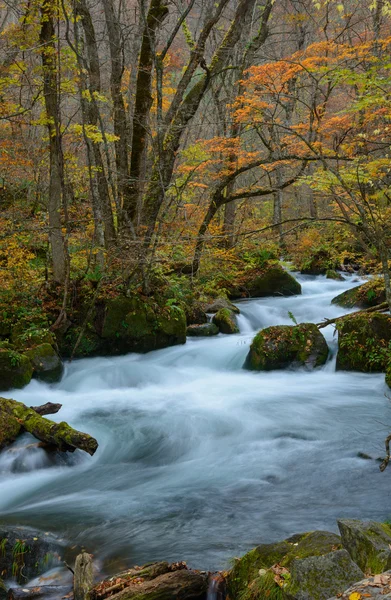 Oirase kloof in het najaar, in Aomori, Japan — Stockfoto