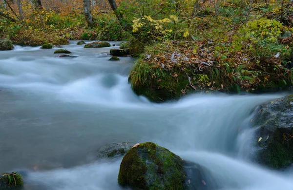 Oirase kloof in het najaar, in Aomori, Japan — Stockfoto