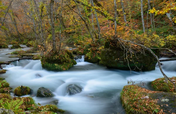 Oirase gorge i höst i Aomori, Japan — Stockfoto