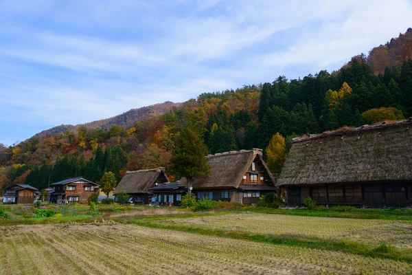 Historische dorp van Shirakawa-gaan in de herfst — Stockfoto