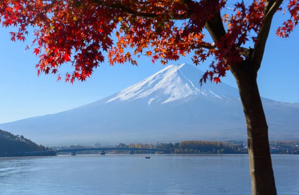 Mt.Fuji és Lake Kawaguchi ősszel — Stock Fotó