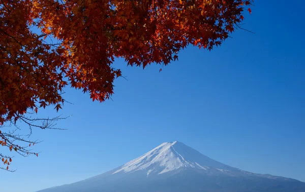 Mt.Fuji és juharfák — Stock Fotó