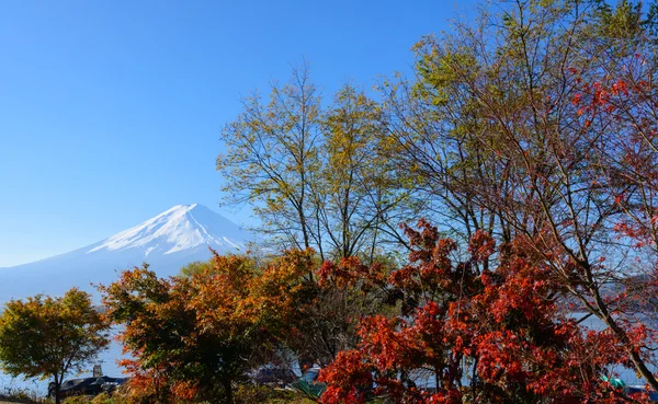 Mt.Fuji és juharfák — Stock Fotó