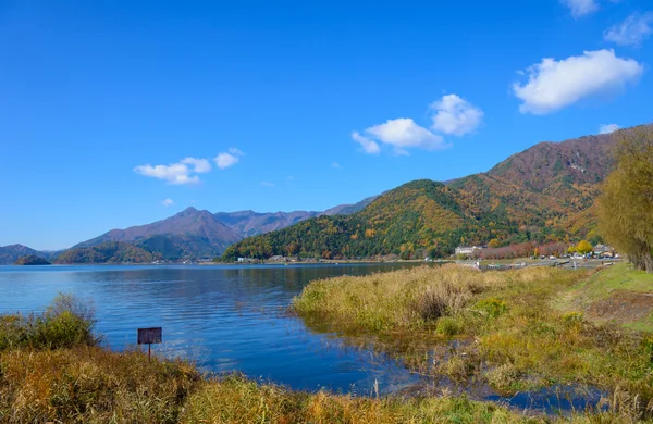 Autumn leaves along the lake Kawaguchi — Stock Photo, Image