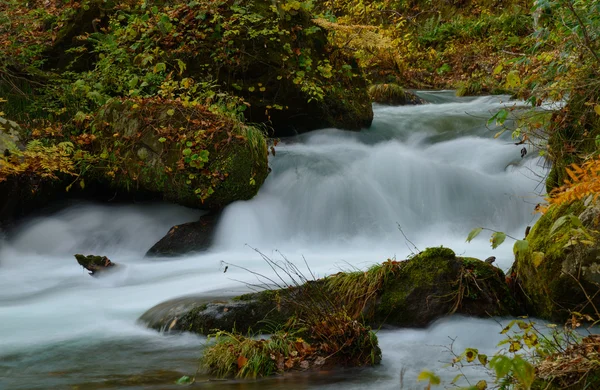 Oirase gorge in Autumn, in Aomori, Japan Stock Image