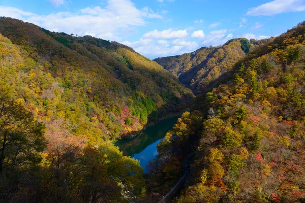 Tenryu river in Autumn, in Nagano, Japan — Stock Photo, Image