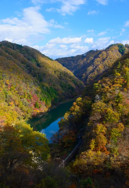 Tenryu-rivier in het najaar, in Nagano, Japan — Stockfoto
