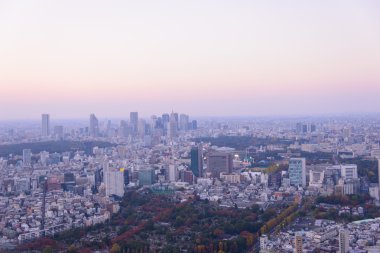 Tokyo alacakaranlık