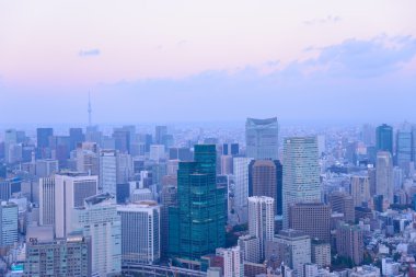Tokyo alacakaranlık