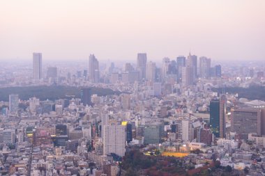 Tokyo alacakaranlık