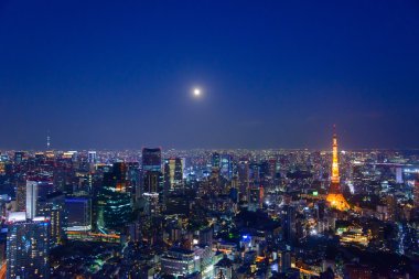 Tokyo in the twilight clipart