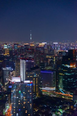 Tokyo in the twilight clipart