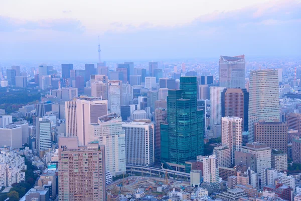 Tokyo in de schemering — Stockfoto