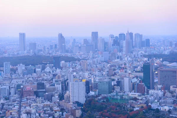 Tokyo in der Dämmerung — Stockfoto