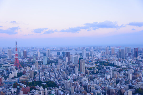 Tokyo in the twilight