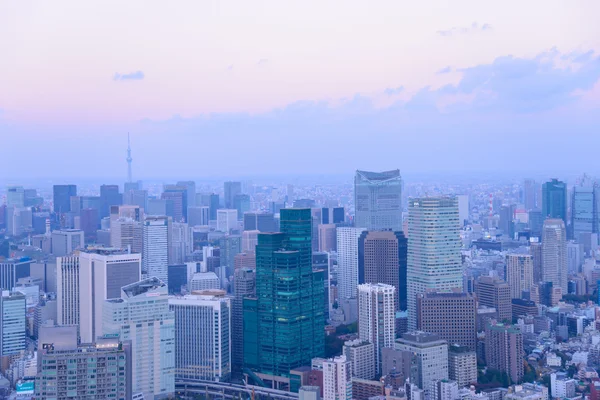 Tokyo i skymningen — Stockfoto