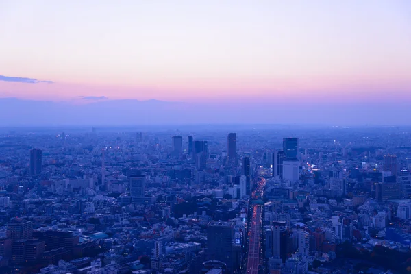 Tokyo in der Dämmerung — Stockfoto