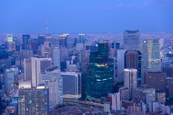 Tokyo in der Dämmerung — Stockfoto