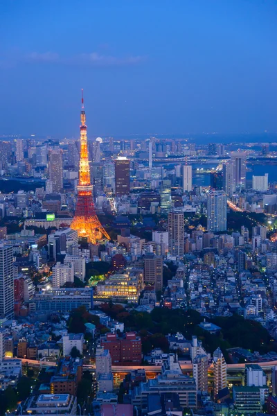 Tokyo al crepuscolo — Foto Stock