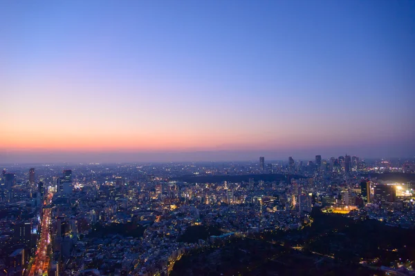 Tóquio no crepúsculo — Fotografia de Stock