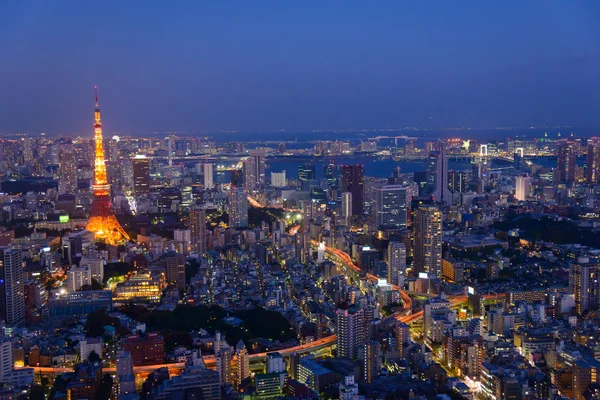 Tokyo i skymningen — Stockfoto