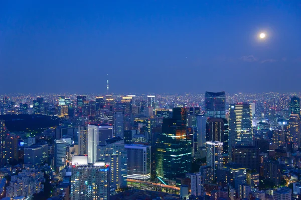 Tokyo i skymningen — Stockfoto