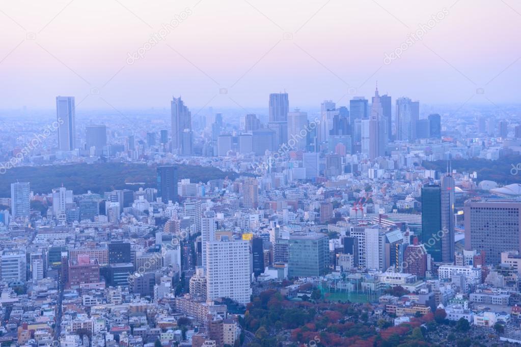 Tokyo in the twilight