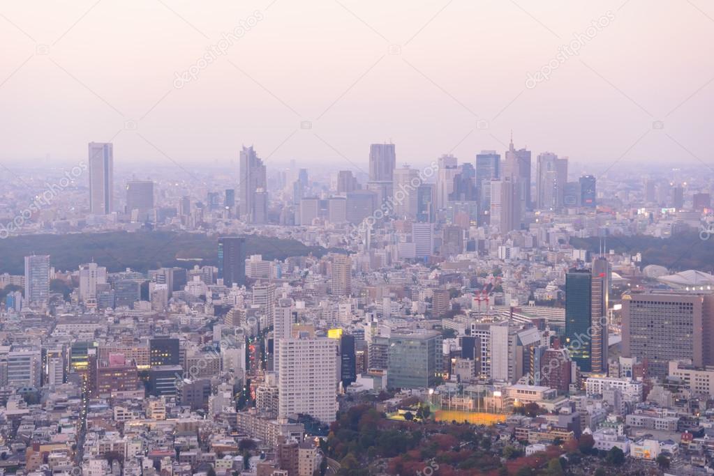 Tokyo in the twilight