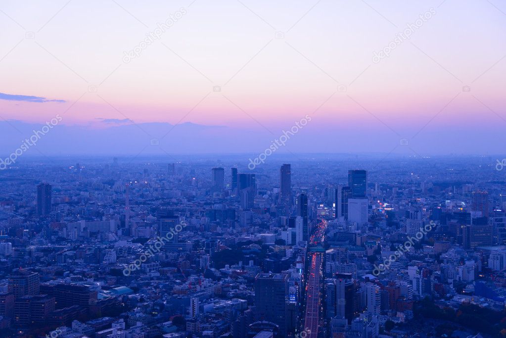 Tokyo in the twilight