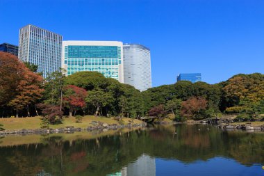 Hamarikyu bahçeleri, Tokyo sonbahar yaprakları