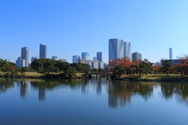 Hamarikyu bahçeleri, Tokyo sonbahar yaprakları