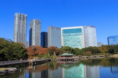 Hamarikyu bahçeleri, Tokyo sonbahar yaprakları