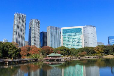 Hamarikyu bahçeleri, Tokyo sonbahar yaprakları