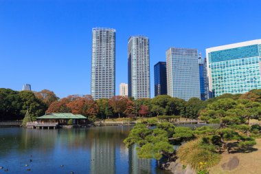 Hamarikyu bahçeleri, Tokyo sonbahar yaprakları