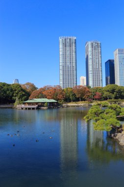 Hamarikyu bahçeleri, Tokyo sonbahar yaprakları
