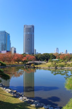 Hamarikyu bahçeleri, Tokyo sonbahar yaprakları