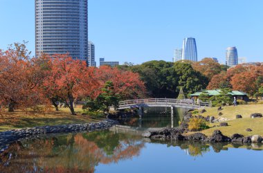 Hamarikyu bahçeleri, Tokyo sonbahar yaprakları